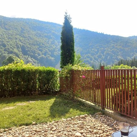 Belleview Garden Studio Apartment Sinaia Luaran gambar