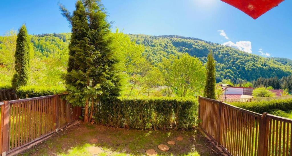 Belleview Garden Studio Apartment Sinaia Luaran gambar