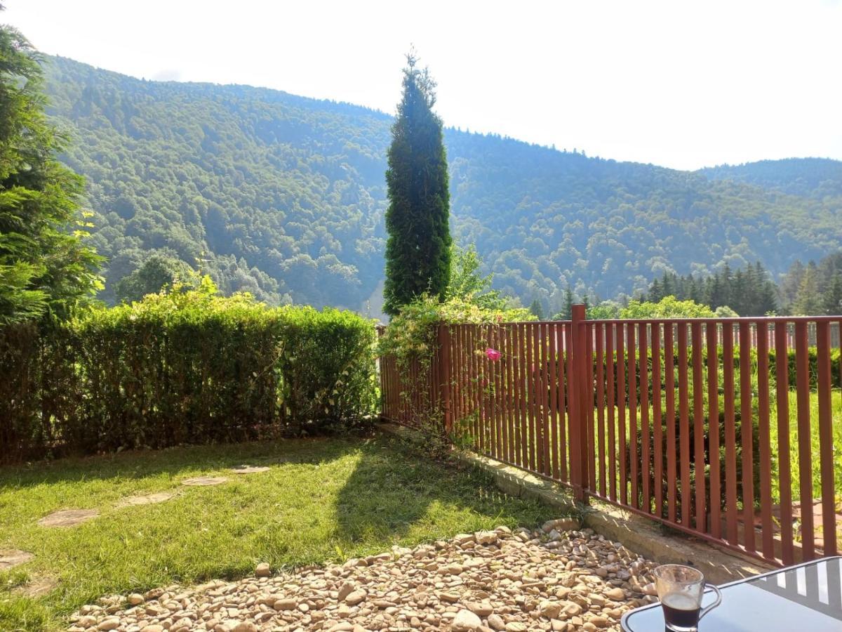 Belleview Garden Studio Apartment Sinaia Luaran gambar