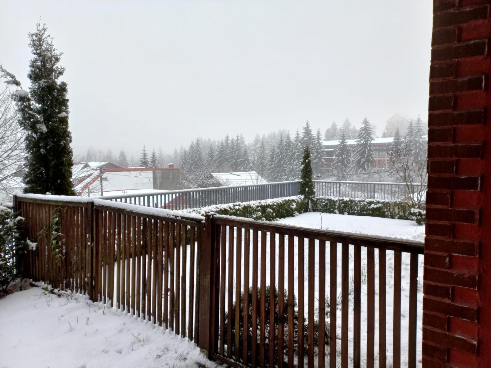 Belleview Garden Studio Apartment Sinaia Luaran gambar